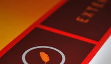 Extended Tech Identity